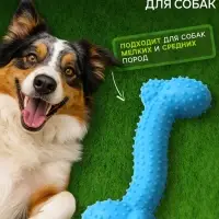 Жевательная игрушка для собак &laquo;Любимое лакомство&raquo;, 11&times;4 см, TPR, голубая