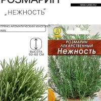 Семена Розмарин &laquo;Нежность&raquo;, 0.03 г, &laquo;Аэлита&raquo;