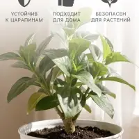 Горшок цветочный с поддоном Saffron, 1.5 л, d=14.6 см, h=13.5 см, пластиковый, бежевый