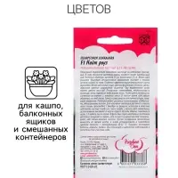 Семена Пеларгония "Найт Роуз", ц/п,  F1, 4 шт.