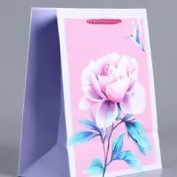 Пакет подарочный "Весеннее чудо" ламинированный 18 х 22,3 х 10 см