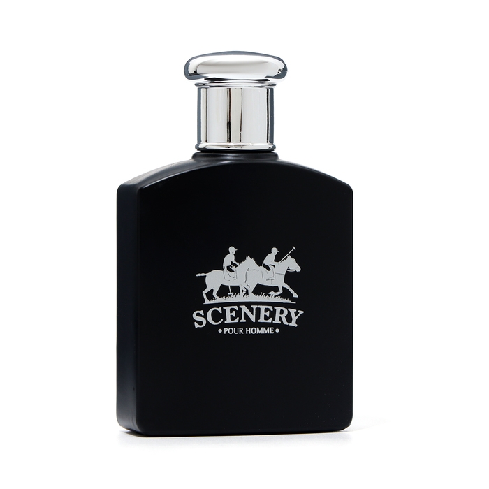 Туалетная вода мужская Scenery, 100 мл Туалетная вода мужская Scenery, 100 мл