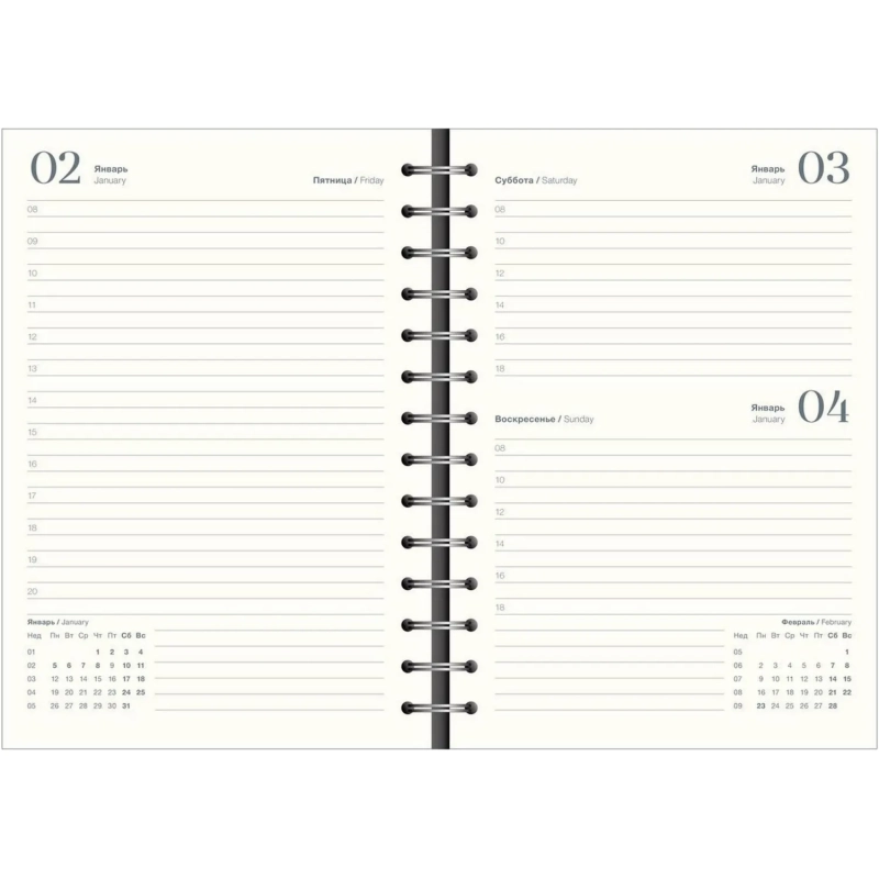 Ежедневник датированный 2026 IF 14х20см 160л, на спир, Basic I1751emb/black