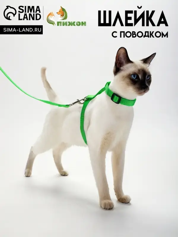 Комплект для кошек, ширина 1.5 см, ОШ 16.5-27 см, ОГ 21-35 см, поводок 120 см, зелёный