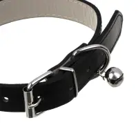 VETTA Ошейник для домашних животных, искусственная кожа, 2,5х50 см, обхват 35,5-45,5 см