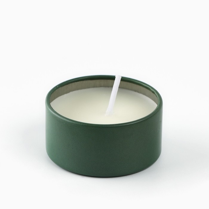 Свеча новогодняя в железной банке «Новый год: Тепла и уюта«Новый год: аромат мята, 4.8 см Свеча новогодняя в железной банке «Новый год: Тепла и уюта«Новый год: аромат мята, 4.8 см