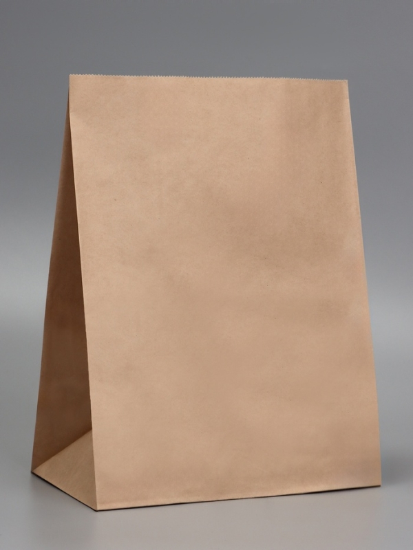 Пакет крафт бумажный фасовочный, прямоугольное дно 26 х 15 х 34 см 70 г/м2, набор 50 шт Пакет крафт бумажный фасовочный, прямоугольное дно 26 х 15 х 34 см 70 г/м2, набор 50 шт