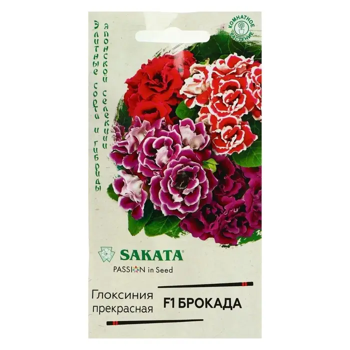 Семена цветов Глоксиния "Брокада", ц/п, F1, гранулы, 4 шт.