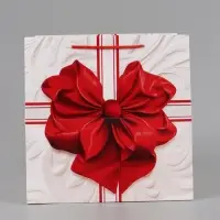Пакет подарочный &laquo;Бант&raquo; 30&times;30&times;30 см