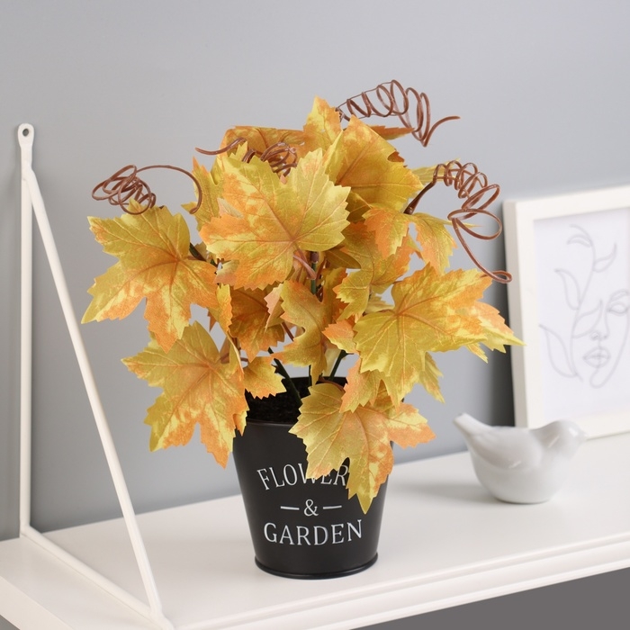 Бонсай в горшке Бонсай в горшке "Гейхера эстра" 25х10 см, микс