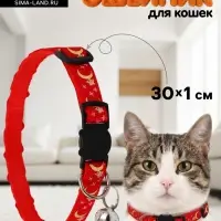 Ошейник для кошек &laquo;Пижон. Ночь&raquo;,30&times;1 см, с бубенчиком, полиэстер