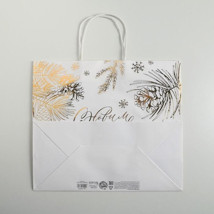 Пакет подарочный новогодний крафтовый Best winter, 32 х 28 х 15 см Пакет подарочный новогодний крафтовый Best winter, 32 х 28 х 15 см