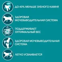 Влажный корм Purina One для кошек, говядина/морковь, 75 г