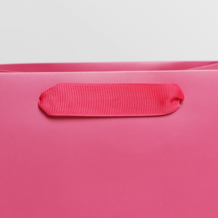 Пакет подарочный ламинированный, упаковка, «Фуксия», MS 18 х 23 х 10 см Пакет подарочный ламинированный, упаковка, «Фуксия», MS 18 х 23 х 10 см