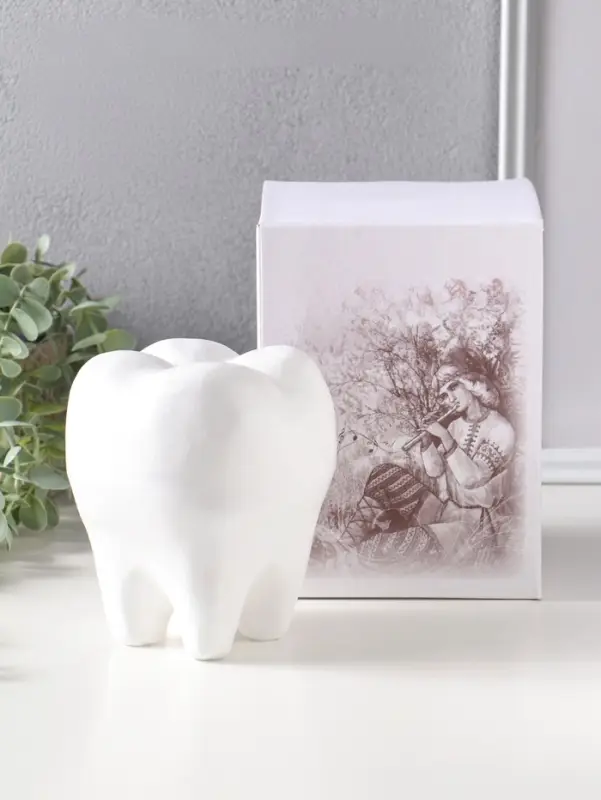 Копилка для денег &laquo;Зуб&raquo;, гипс, белый, 13&times;14&times;19 см