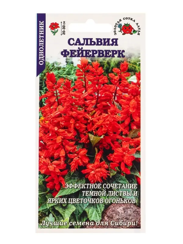 Семена Сальвия Фейерверк /Сотка/ 0,05г/ h-20см/*1500 Семена Сальвия Фейерверк /Сотка/ 0,05г/ h-20см/*1500