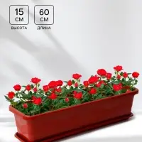 Ящик балконный для цветов Plast-Avenue, 60 см, пластик, терракотовый