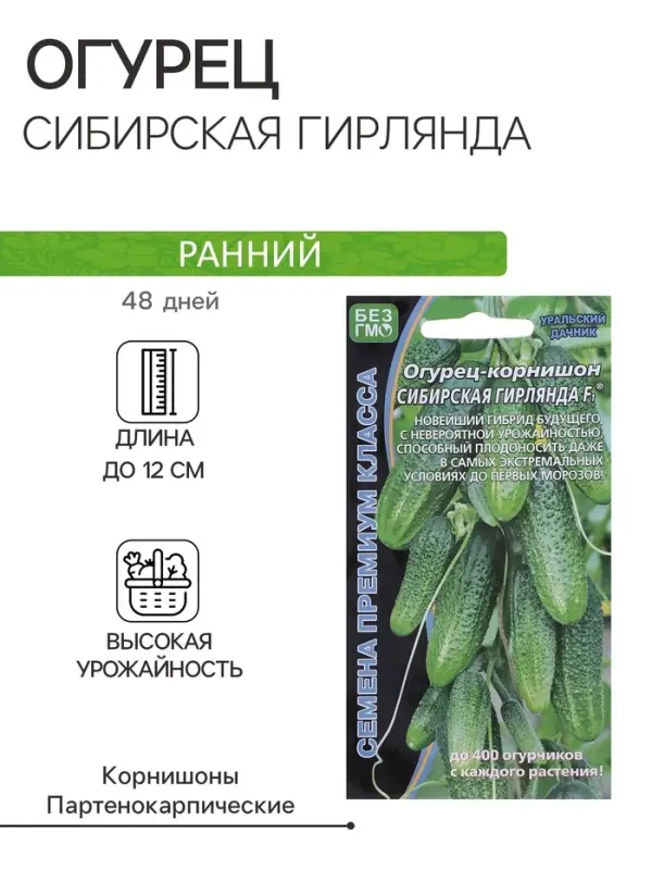 Семена Огурец &laquo;Сибирская Гирлянда&raquo;, F1, скороспелый, партенокарпический, 5 шт., &laquo;Уральский дачник&raquo;