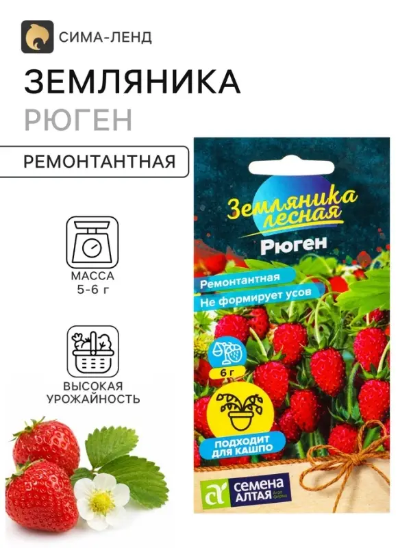 Семена Земляника &laquo;Рюген&raquo;, ремонтантная, 0.03 г, &laquo;Семена Алтая&raquo;