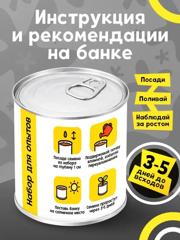 Набор для опытов ЭВРИКИ &laquo;Мой мини-сад&raquo;, подсолнух