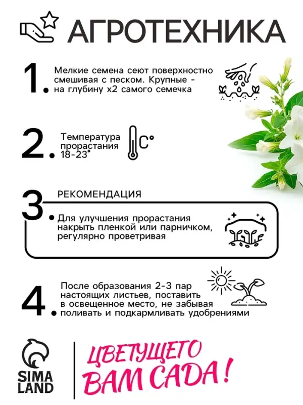 Семена цветов Лобелия ампельная  Семена цветов Лобелия ампельная "Белый каскад", 5 шт.