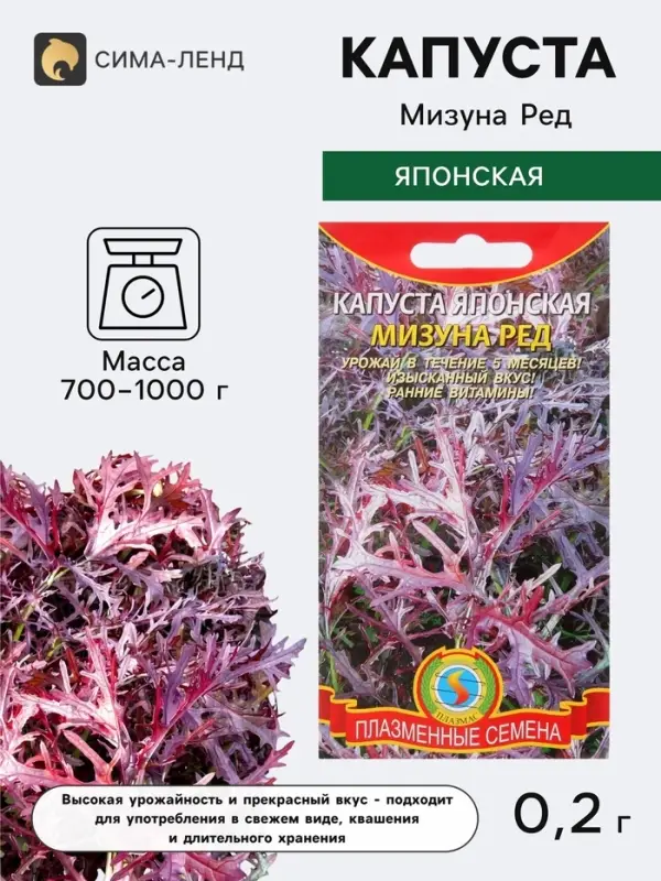 Семена Капуста японская &laquo;Мизуна Ред&raquo;, 0.2 г, &laquo;Плазмас&raquo;