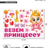 Набор магнитов на авто &laquo;Везем принцессу!&raquo;, на выписку