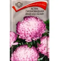 Набор семян цветов Астра