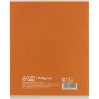 Тетрадь 48 листов в линейку Calligrata &laquo;Котики&raquo;, блок №2, серые листы, обложка МИКС