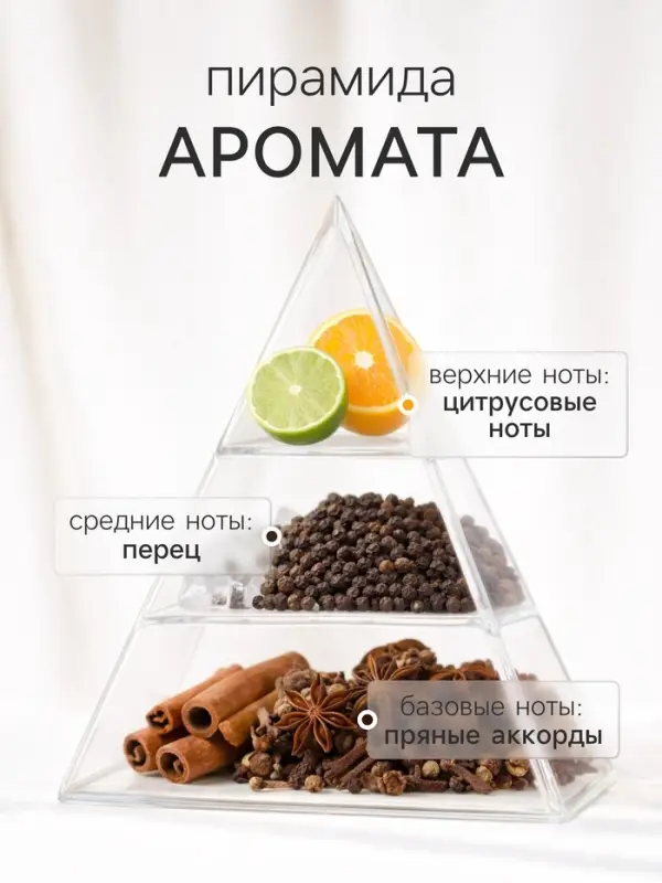 Наполнитель для ароматического диффузора XO The Accent, 100 мл