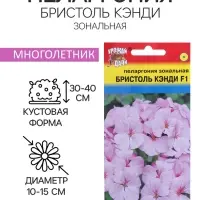 Семена цветов Пеларгония "БРИСТОЛЬ КЭНДИ", F1, 0,03 гр.