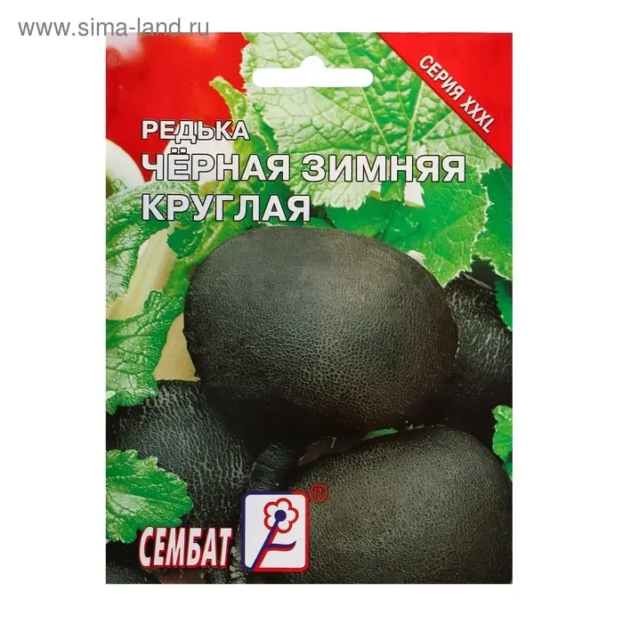 Семена ХХХL Редька Зимняя круглая черная, 10 г Семена ХХХL Редька Зимняя круглая черная, 10 г
