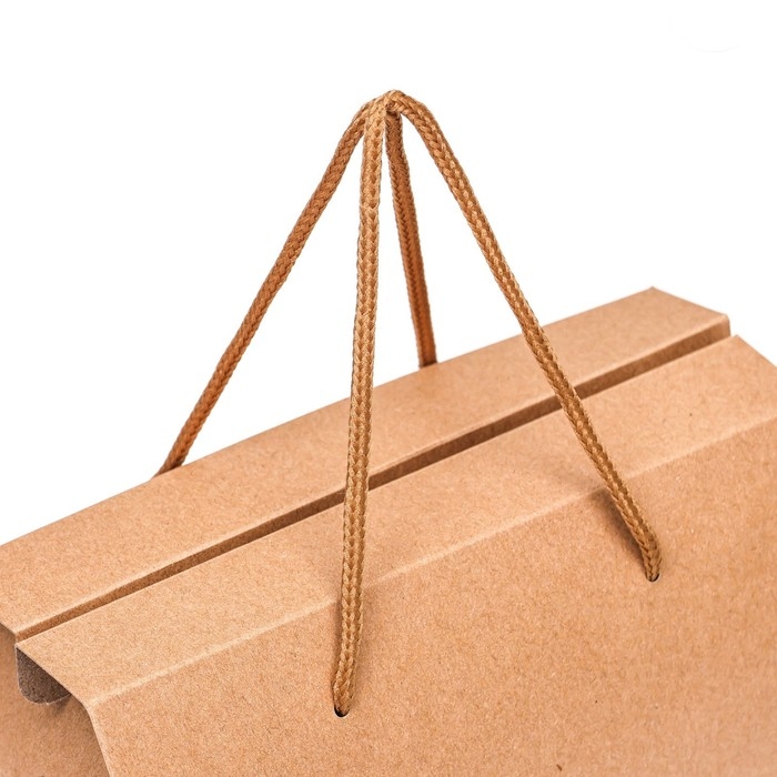 Коробка-пакет, с ручками, крафт, 20 х 15 х 11 см Коробка-пакет, с ручками, крафт, 20 х 15 х 11 см