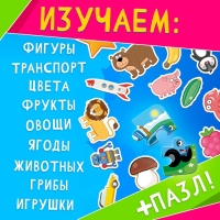 Книга большая с липучками «Синий трактор», А5, 100 липучек