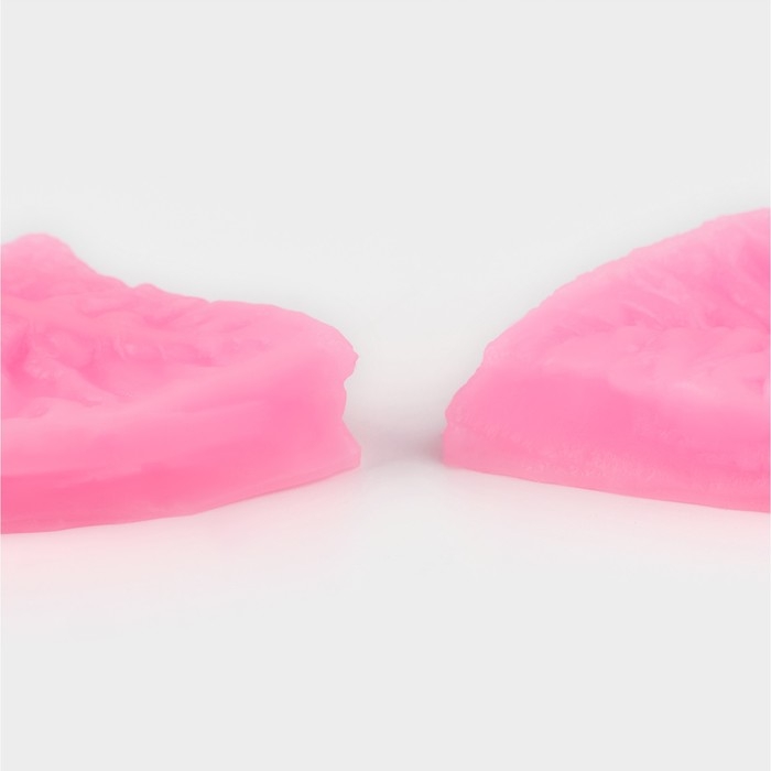 Молд «Лист розы», силикон, 2 предмета, 5×3 см, цвет МИКС Молд «Лист розы», силикон, 2 предмета, 5×3 см, цвет МИКС