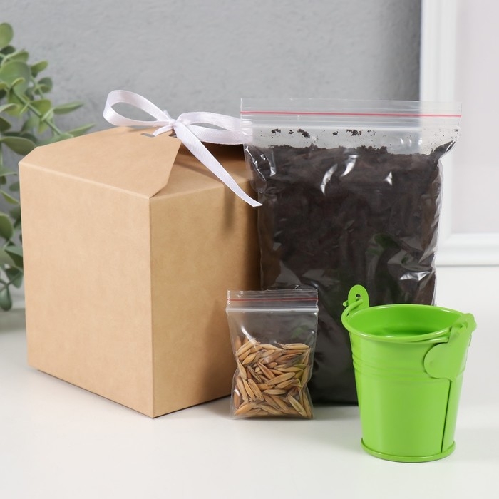 Набор для выращивания растений Набор для выращивания растений "Вырасти травку" ведерко