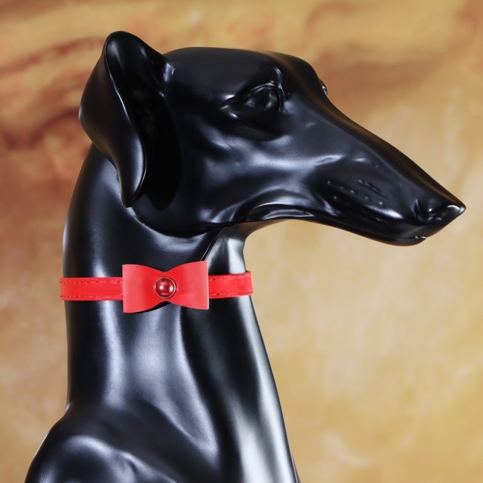 Ошейник Ошейник "Сияние" с бусиной и бубенчиком, 29 х 1 см, ОШ 21-26, красный