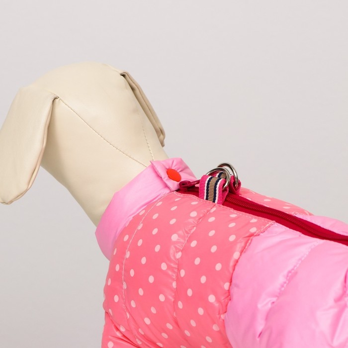 Комбинезон для собак Комбинезон для собак "Горошек", размер 14 (ДС 27, ОГ 38, ОШ 30 см), розовый