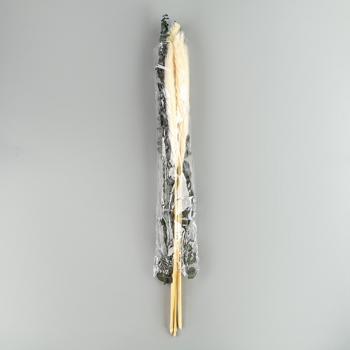 Букет из сухоцветов «Эвкалипт», набор из 13 шт., высота 47 см