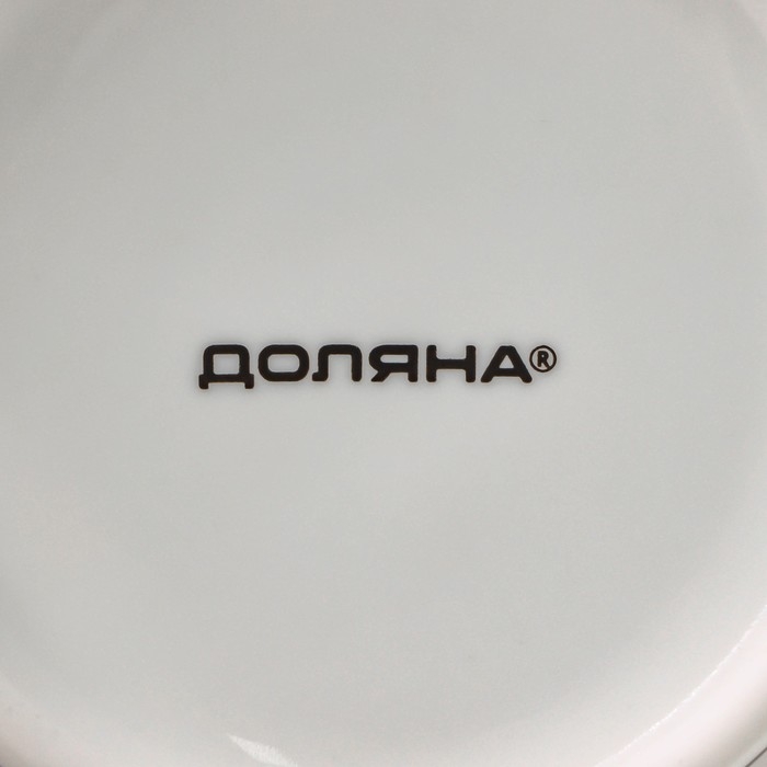 Кружка фарфоровая Доляна &laquo;Чёрный кот&raquo;, 300 мл, цвет белый