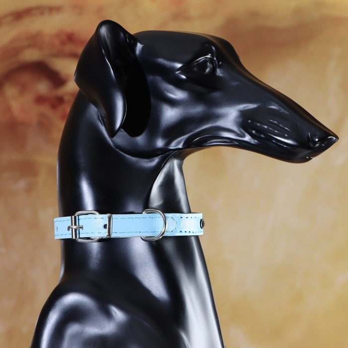 Ошейник Ошейник "Корона" с металлическим декором и со стразами, 36 х 1,4 см, ОШ 24-31, голубой