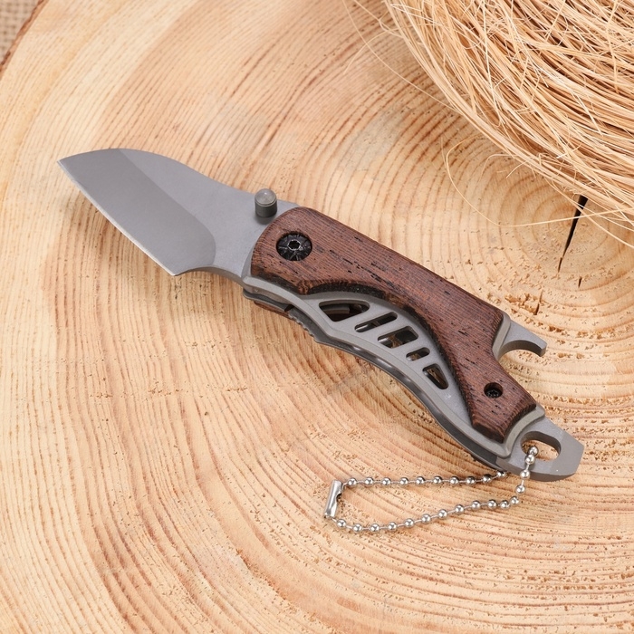 Нож перочинный складной Нож перочинный складной "Странник" 14см, клинок 52мм/2мм, рукоять дерево