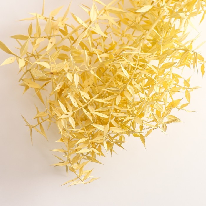 Набор сухоцветов Набор сухоцветов "Рускус", банч 5-6 шт, длина 50-60 (+/- 6 см), желтый