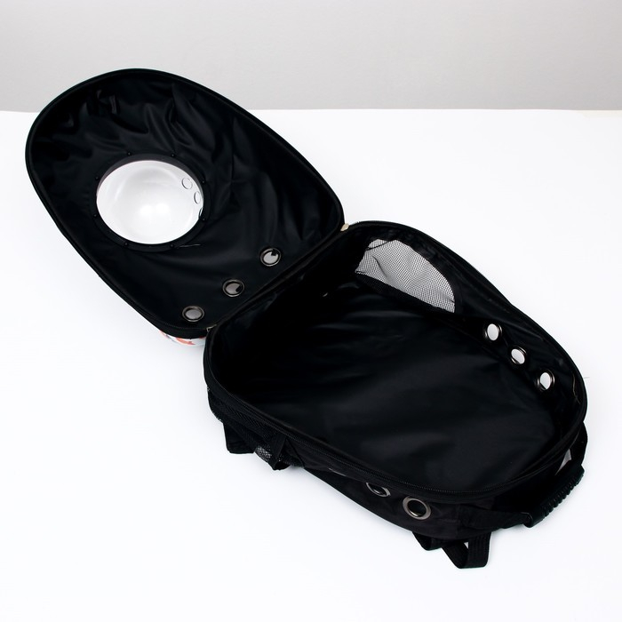 Рюкзак для переноски кошек и собак  Рюкзак для переноски кошек и собак "Хочу на море!", с окном, 32 х 25 х 42 см