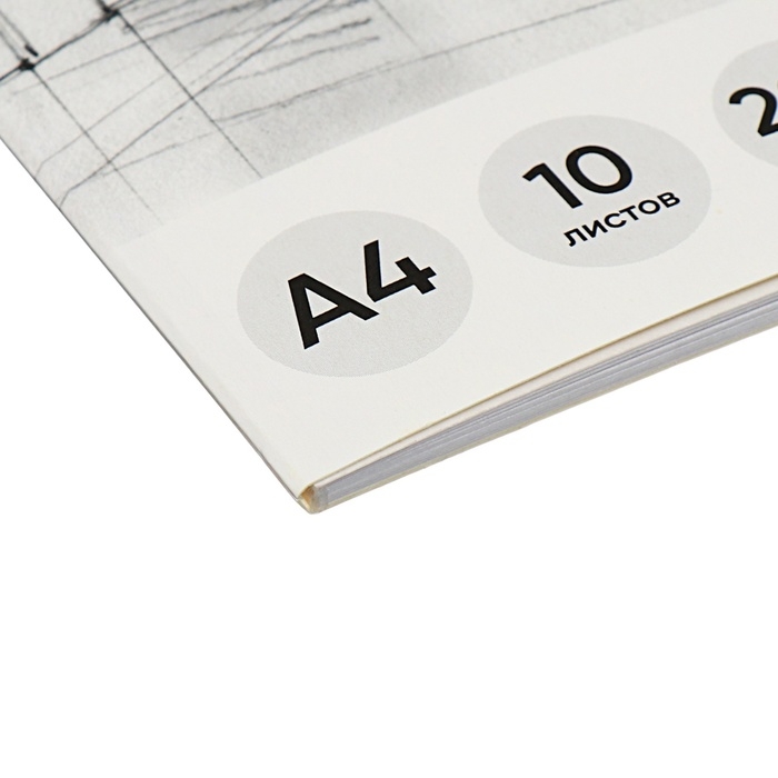 Альбом для черчения А4, 10 листов, блок 200 г/м², на клею, ErichKrause, без рамки Альбом для черчения А4, 10 листов, блок 200 г/м², на клею, ErichKrause, без рамки