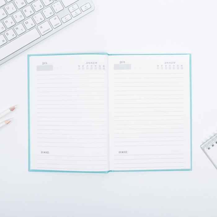 Ежедневник   Ежедневник  "Коала"  А5, 80 листов