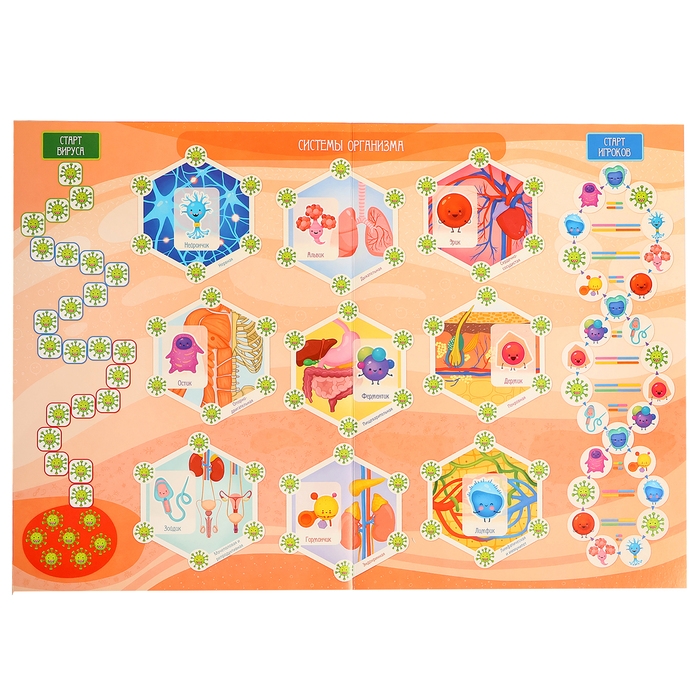 Настольная игра «Викторина. Как устроен человек?», 7-12 лет