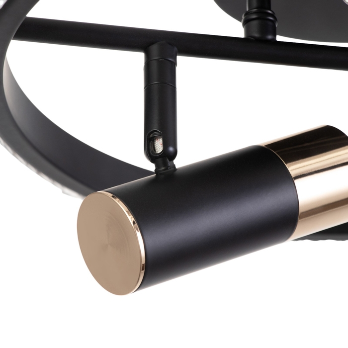 Люстра Люстра "Акрополь" 35Вт LED черный, золото 2700-6400k 30х30х15см