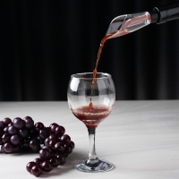 Аэратор для вина Доляна Air Wine, 12 см