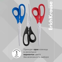 Ножницы ErichKrause Dynamic, 16 см, лезвия из нержавеющей стали, ударопрочный пластик, европодвес, МИКС